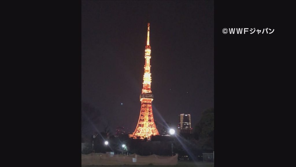 東京タワー（点灯）