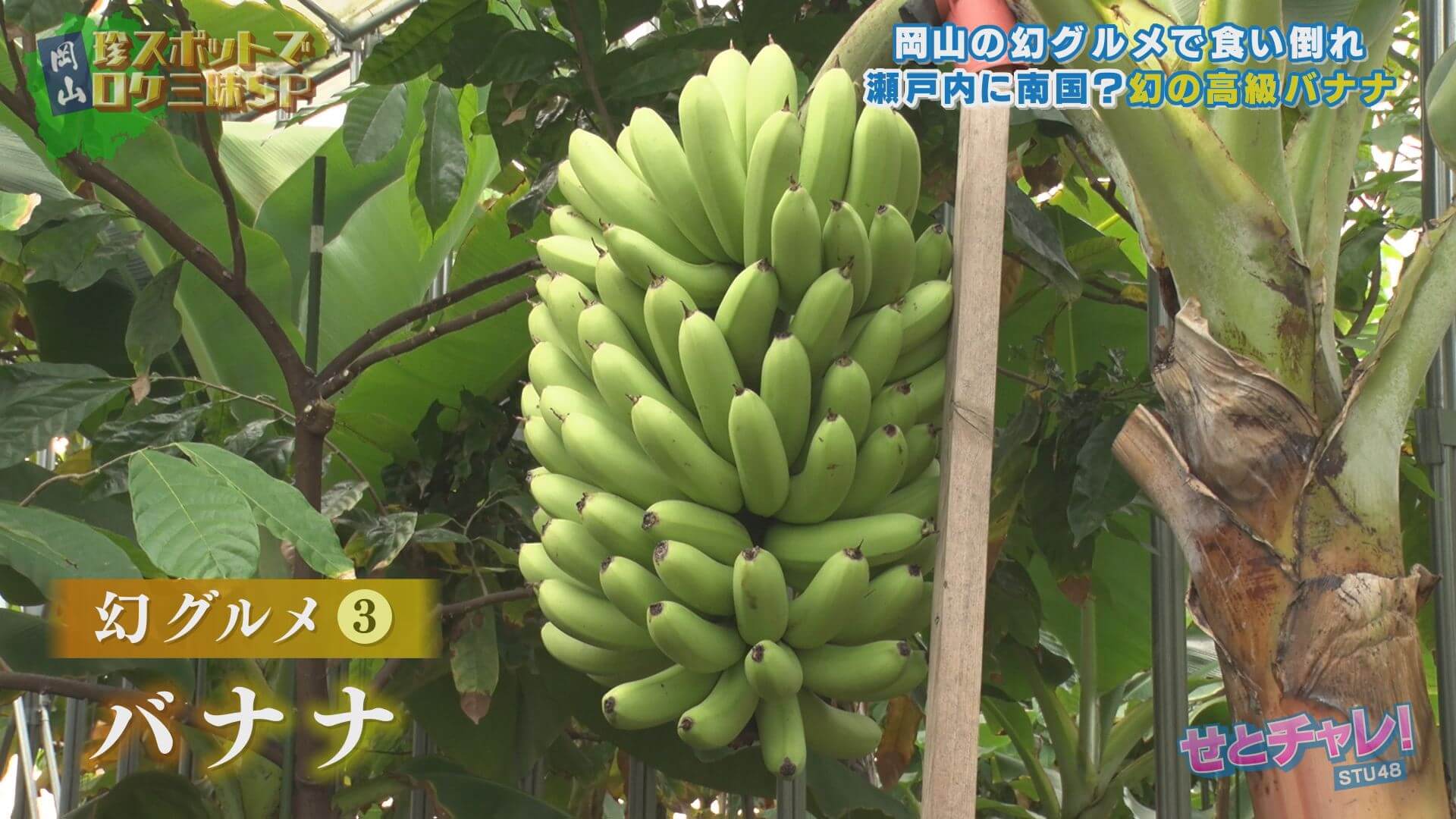 岡山幻のグルメ③「もんげーバナナ」