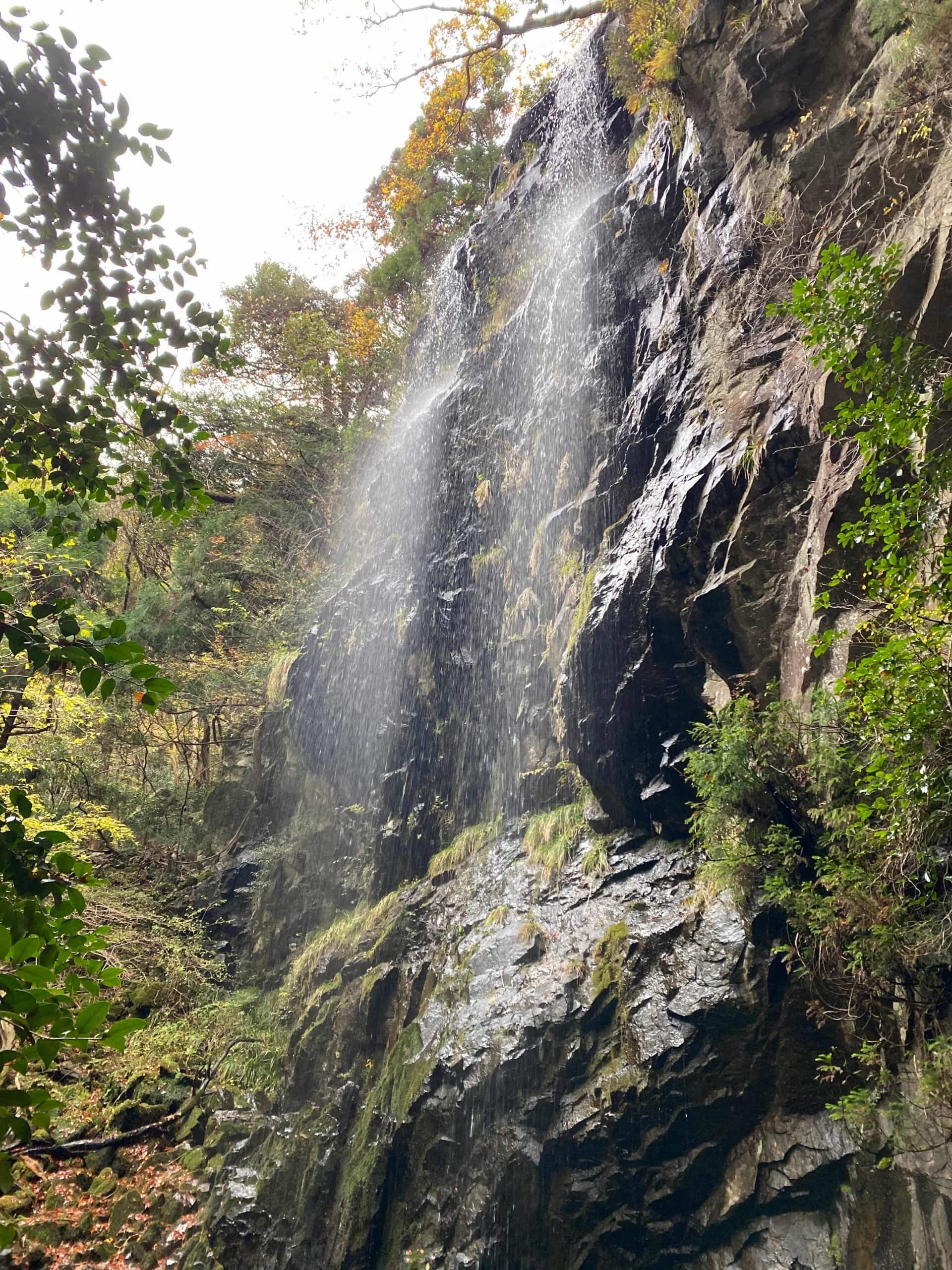 美しい落水を見せる駒ヶ滝