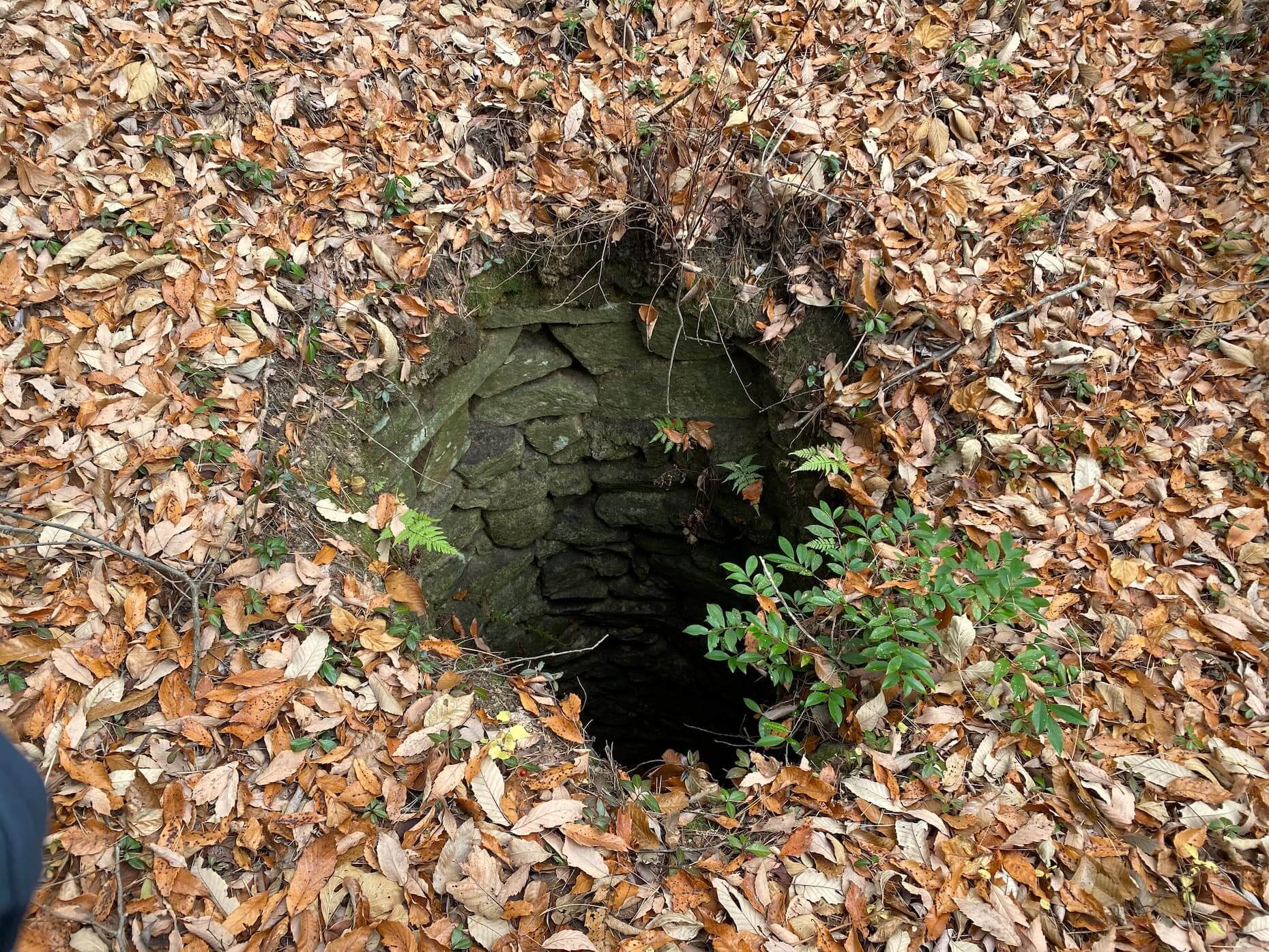 松ヶ嶽城跡に残る井戸の遺構