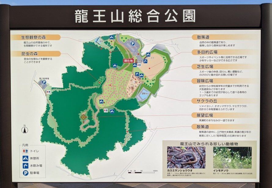 龍王山総合公園