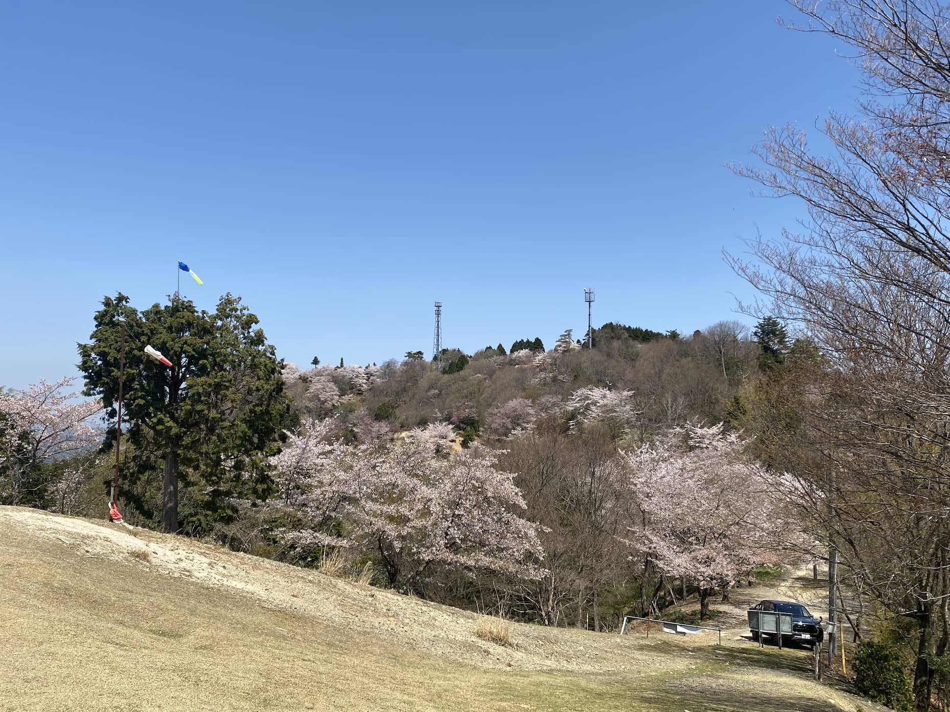 神ノ倉山の山頂方面