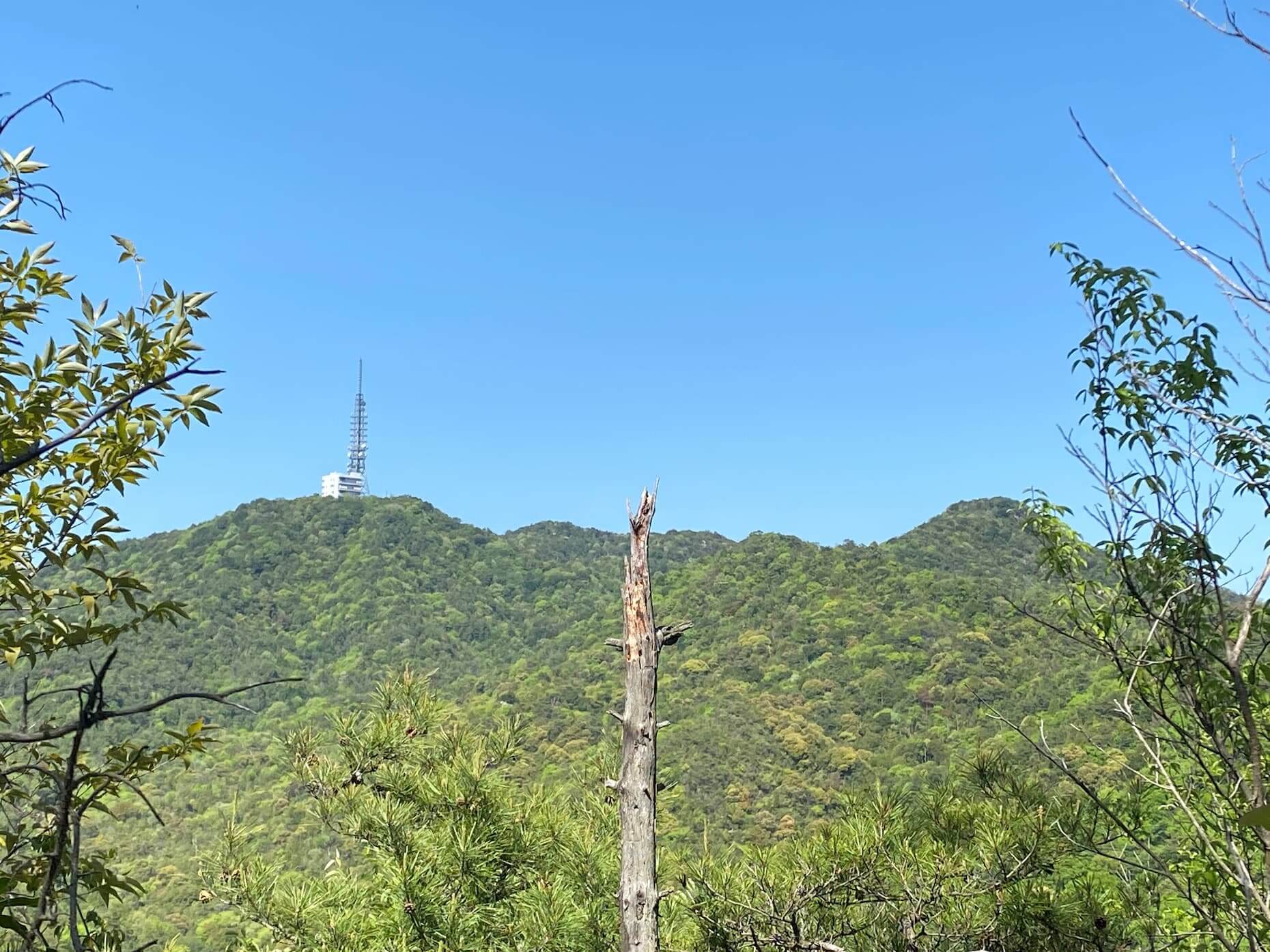 小松尾山手前から見た絵下山。右手の高台が頂上