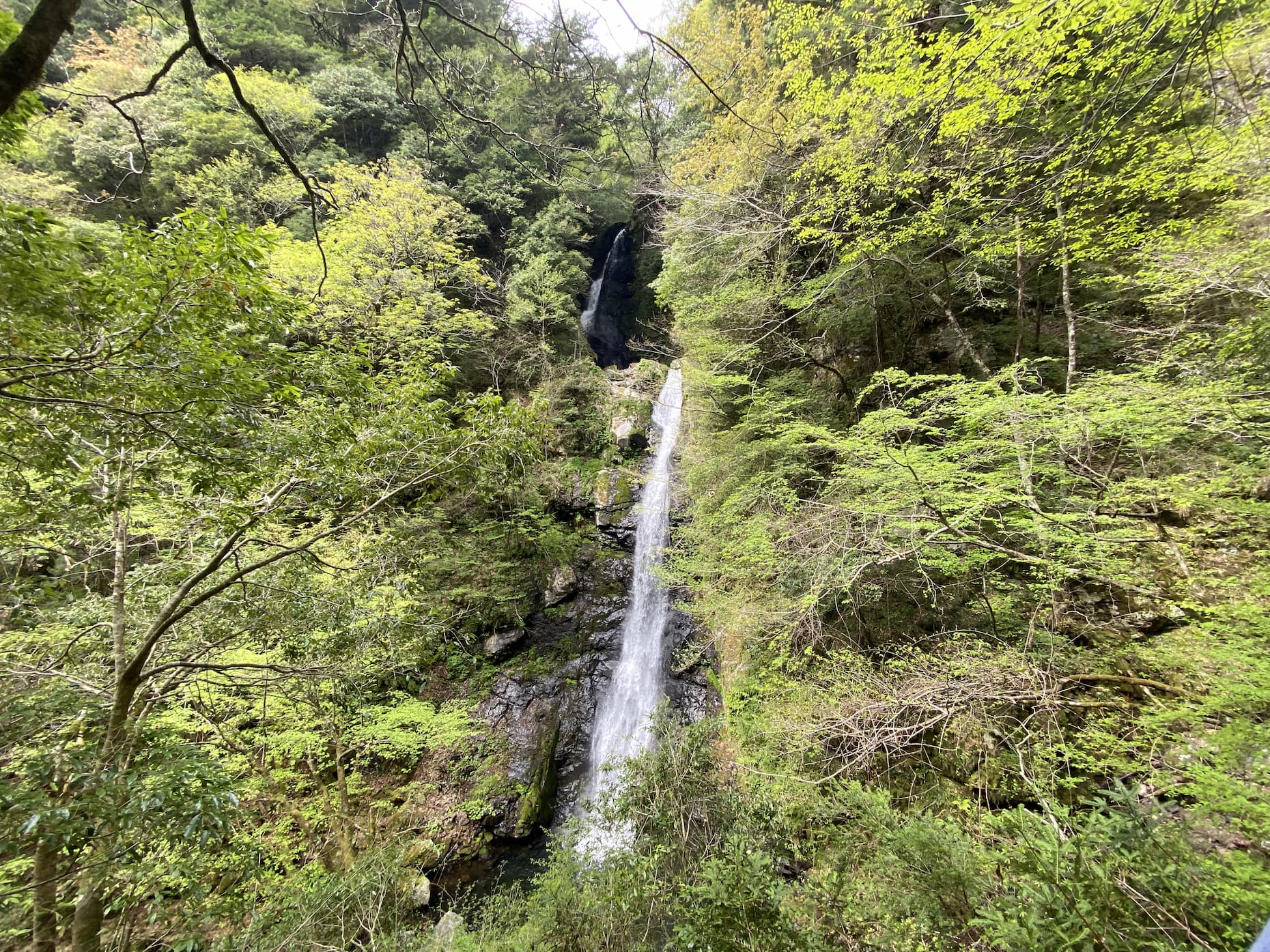 対岸の斜面から見た瀬戸の滝。二段の落差は49メートルもある