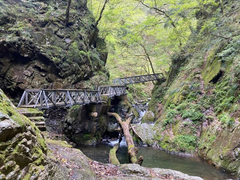 トラス橋が架かる瀬戸の滝への遊歩道（2022年4月23日撮影）