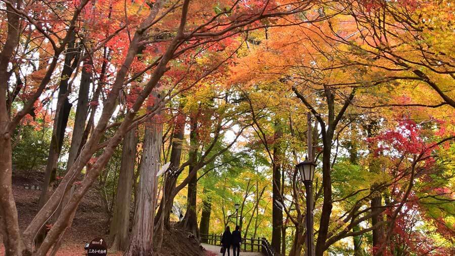 尾関山公園：紅葉