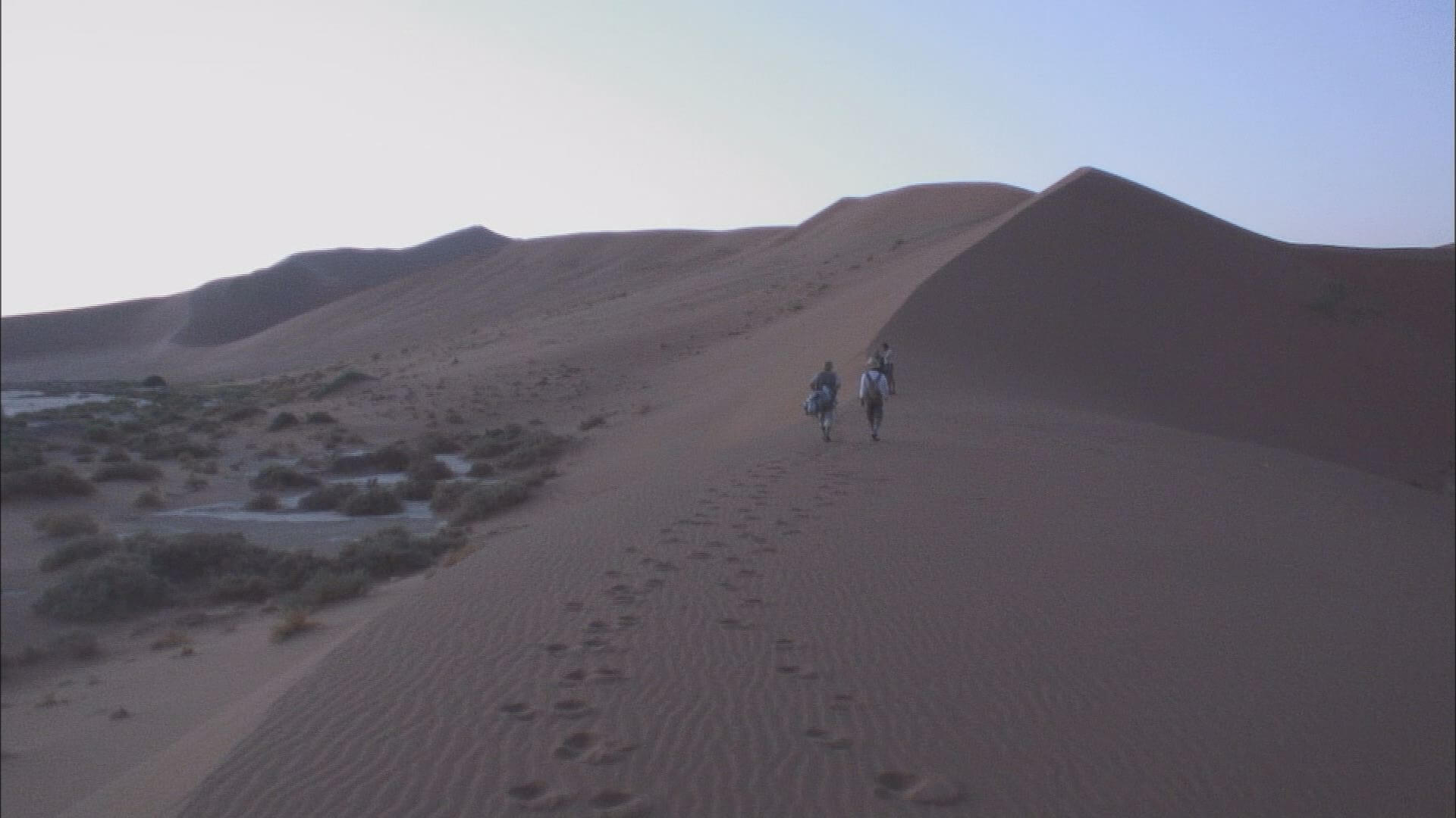 砂漠を歩くスタッフ