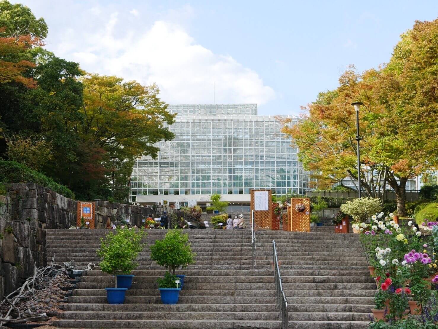 約1万品種20万本の植物を栽培している「広島市植物公園」