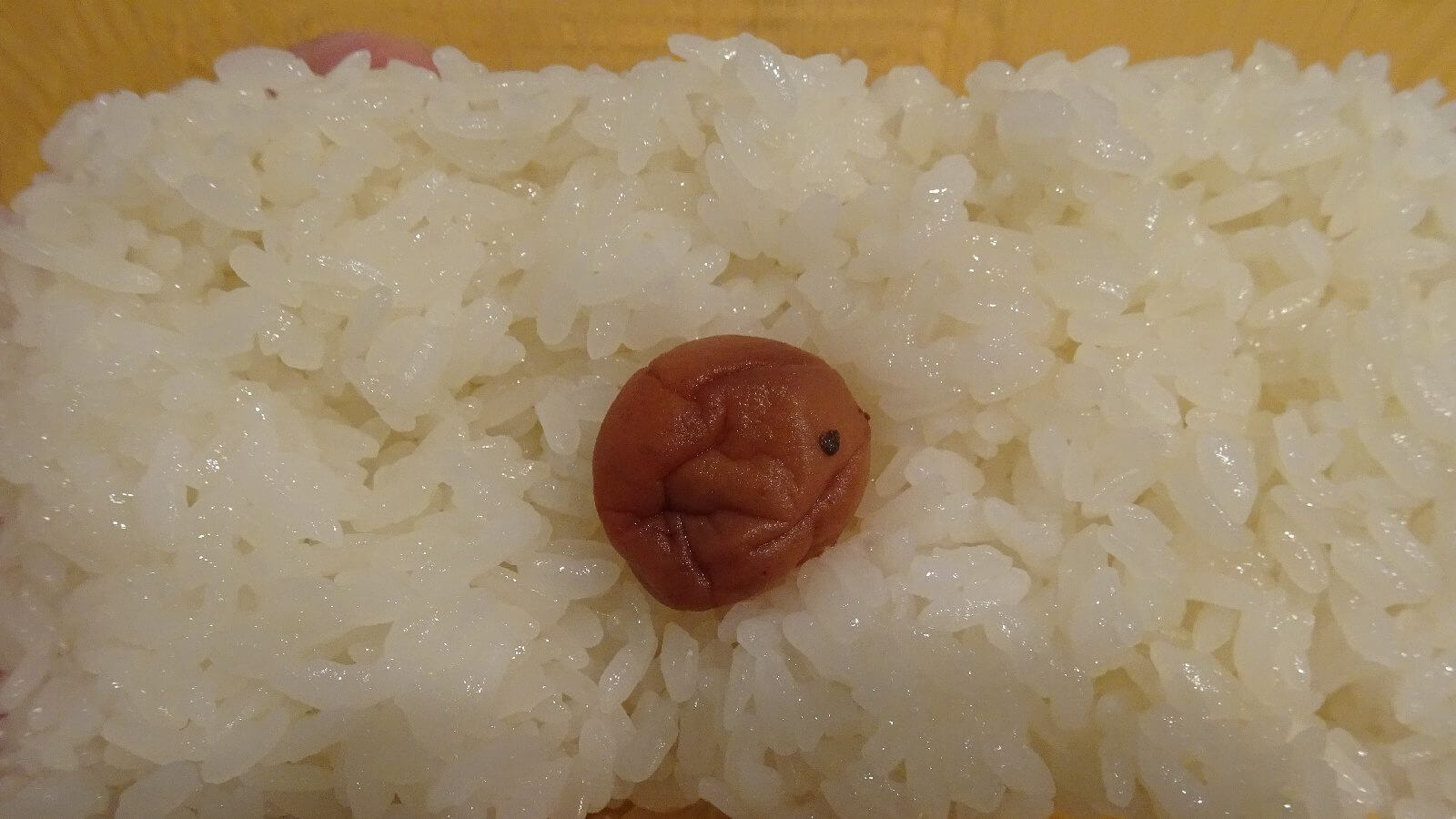 もち米入白ご飯