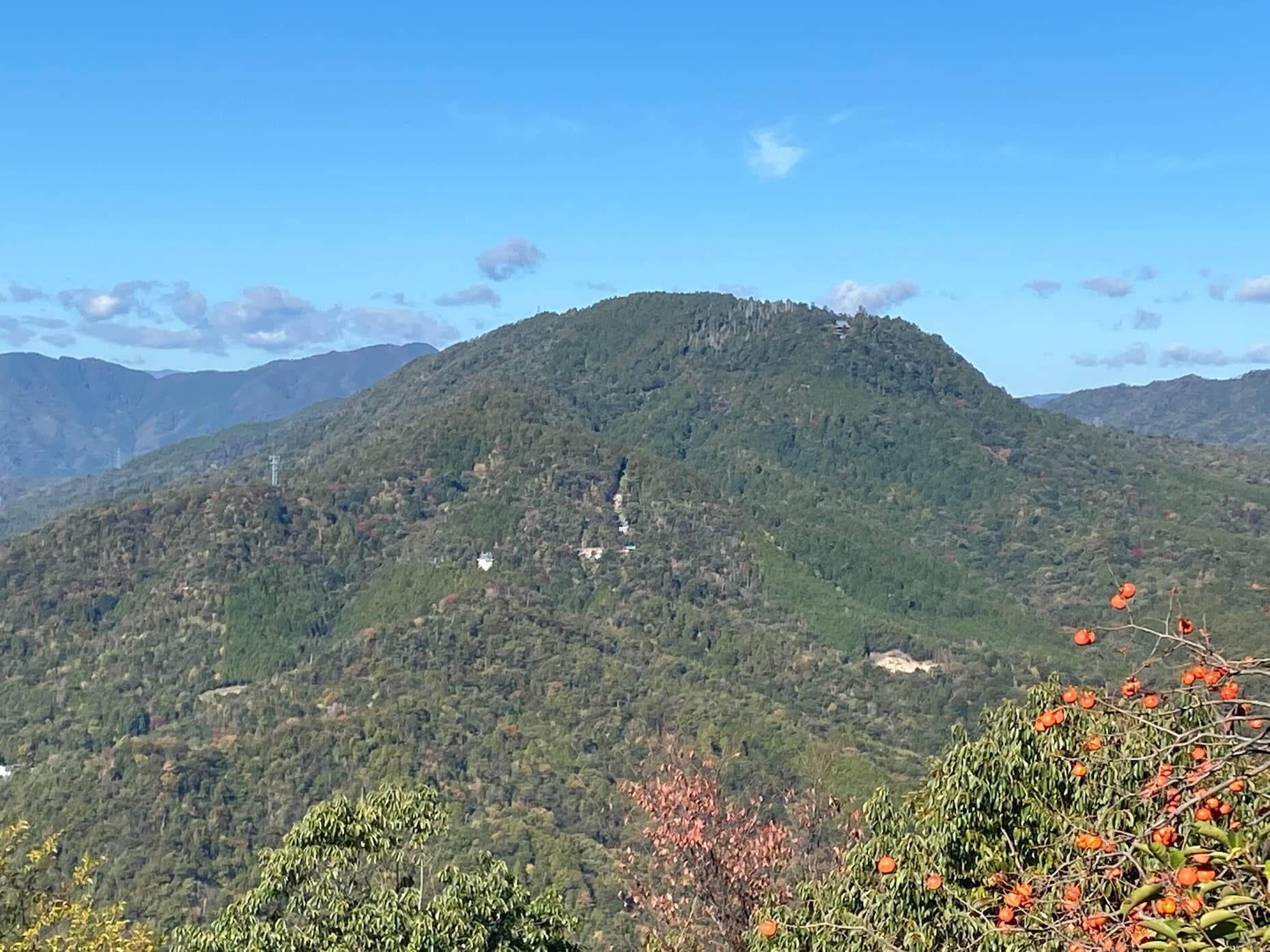 福王寺山とカキ。山頂近くに伽藍が見える