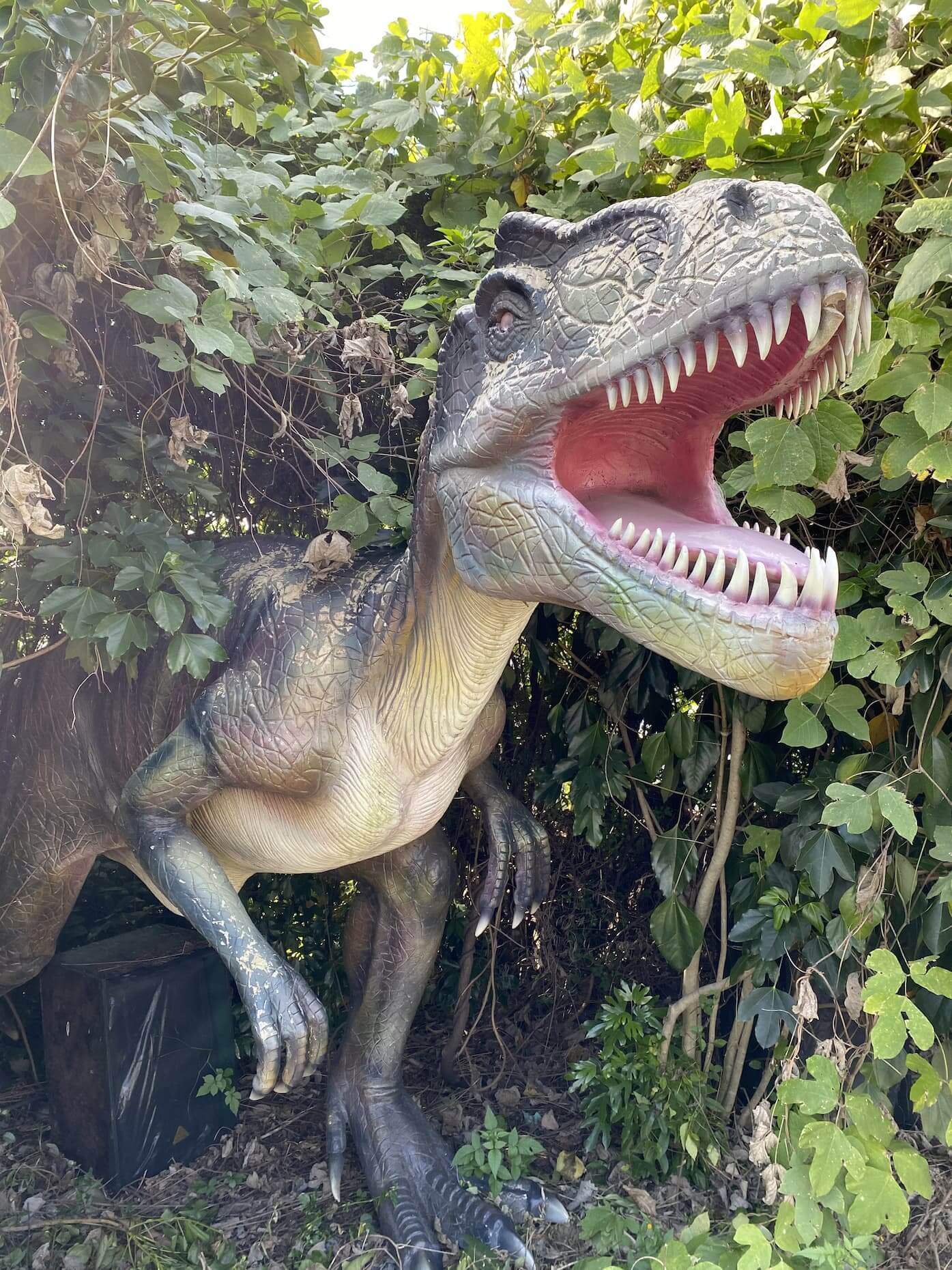 みろくの里・アロサウルス