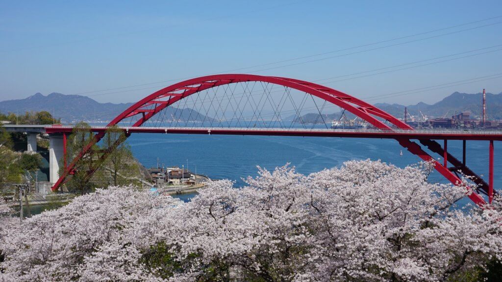音戸の瀬戸公園　桜