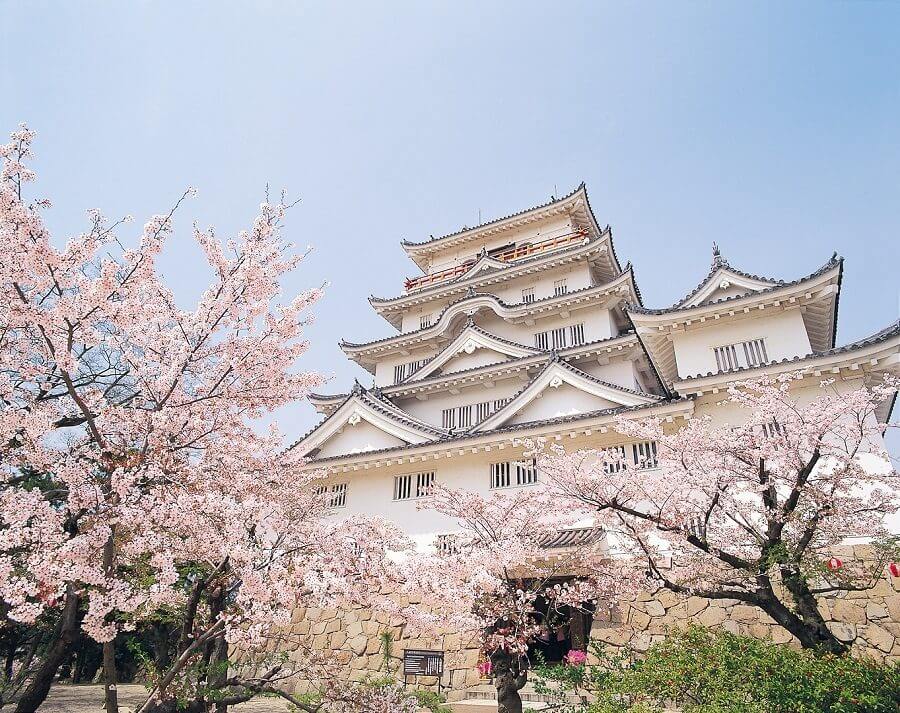 福山城公園　桜