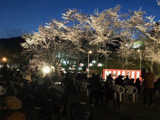 春の夜間開園「桜と光の夕べ」