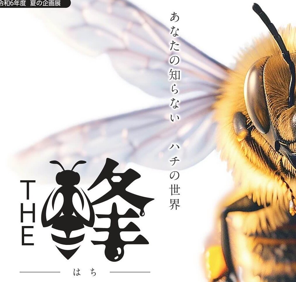 確認用　ミツバチ様 絶滅した日本ミツバチを離島で復活！「壱岐・五島ワバチ復活