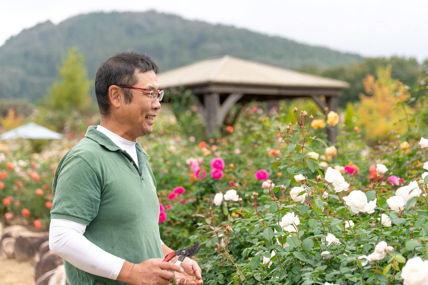 世羅高原花の森 秋ローズと花のガーデン