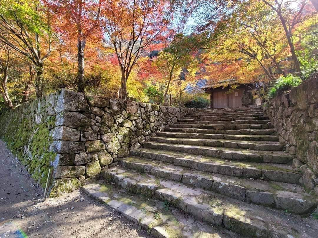 佛通寺 紅葉シーズン 秋の特別拝観