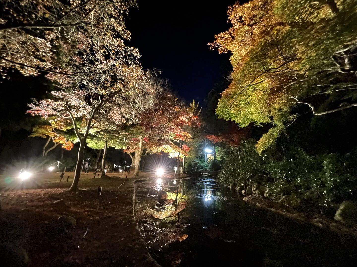 紅葉谷公園ライトアップ