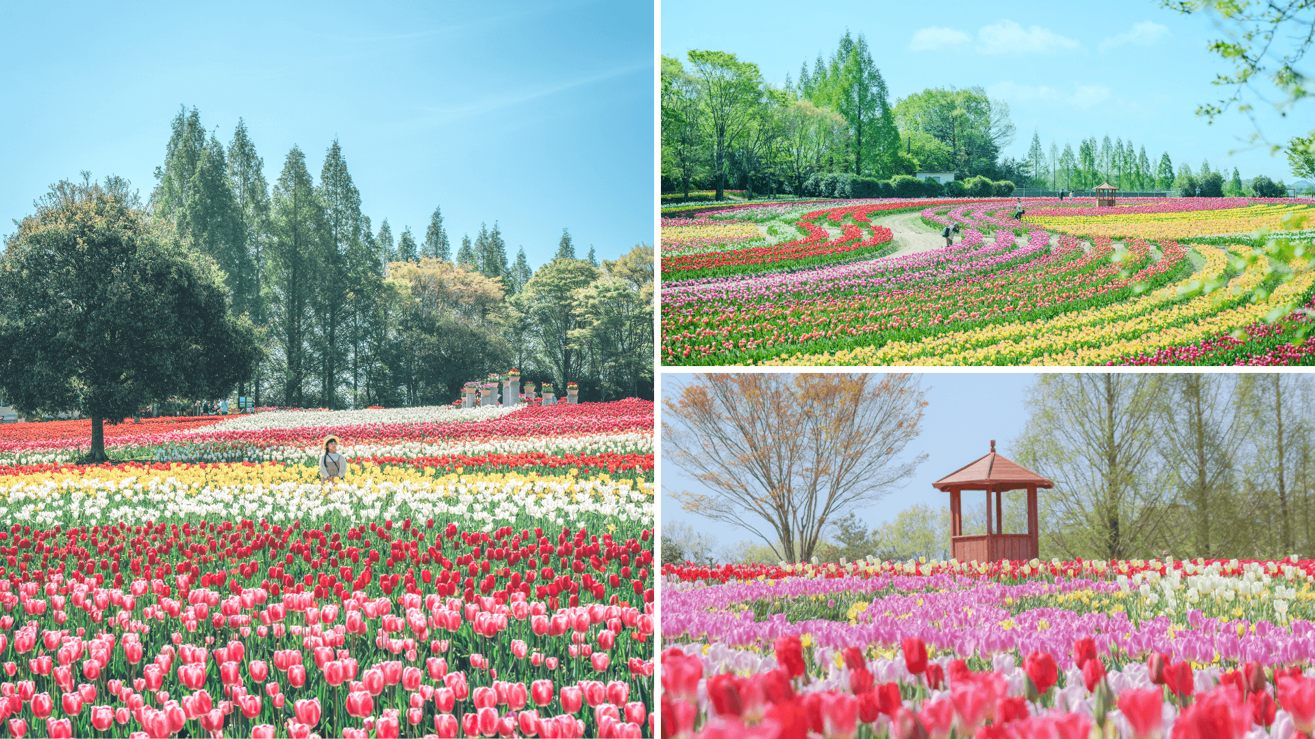 世羅高原農場