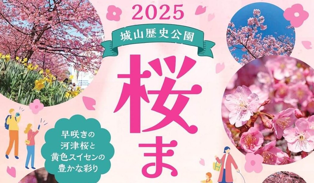 2/22・23】山口県上関町で「2025年城山歴史公園桜まつり」開催！早咲き