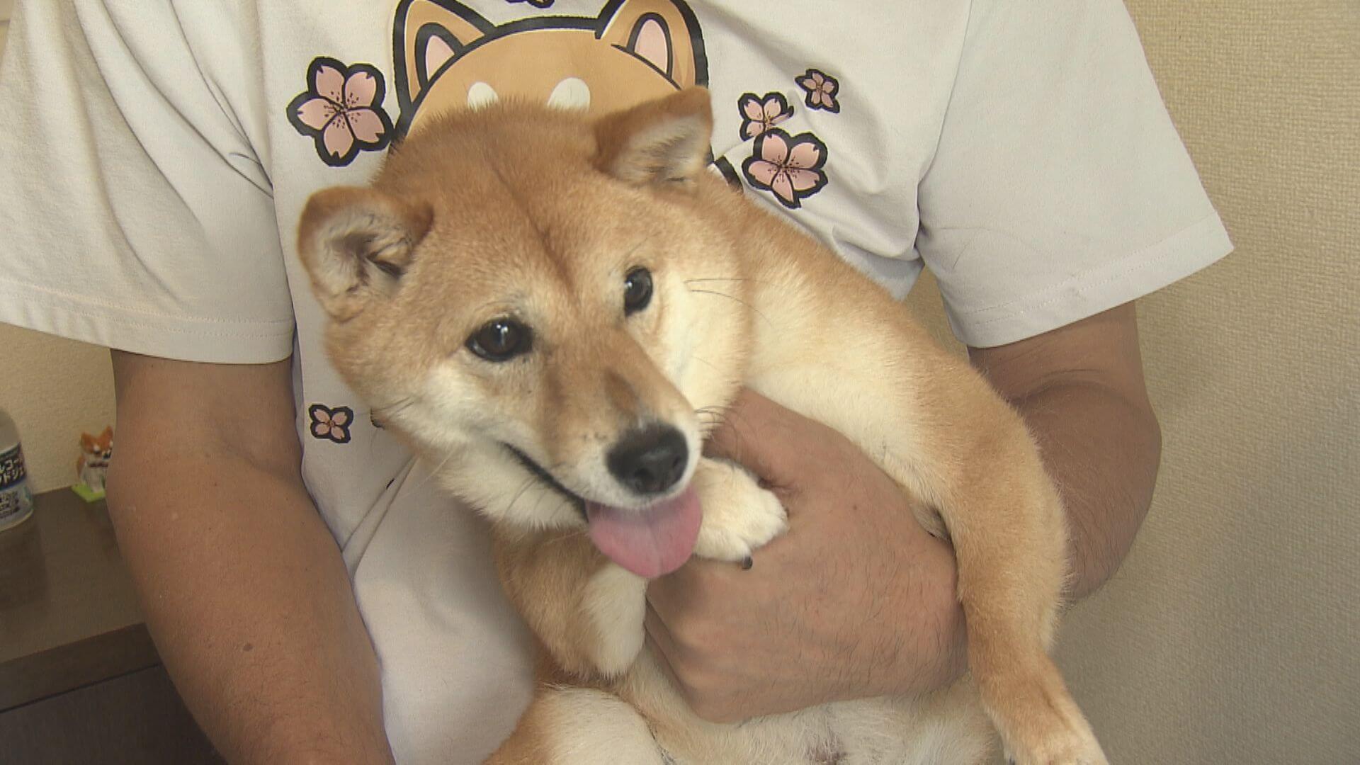 ググッと。瀬戸内