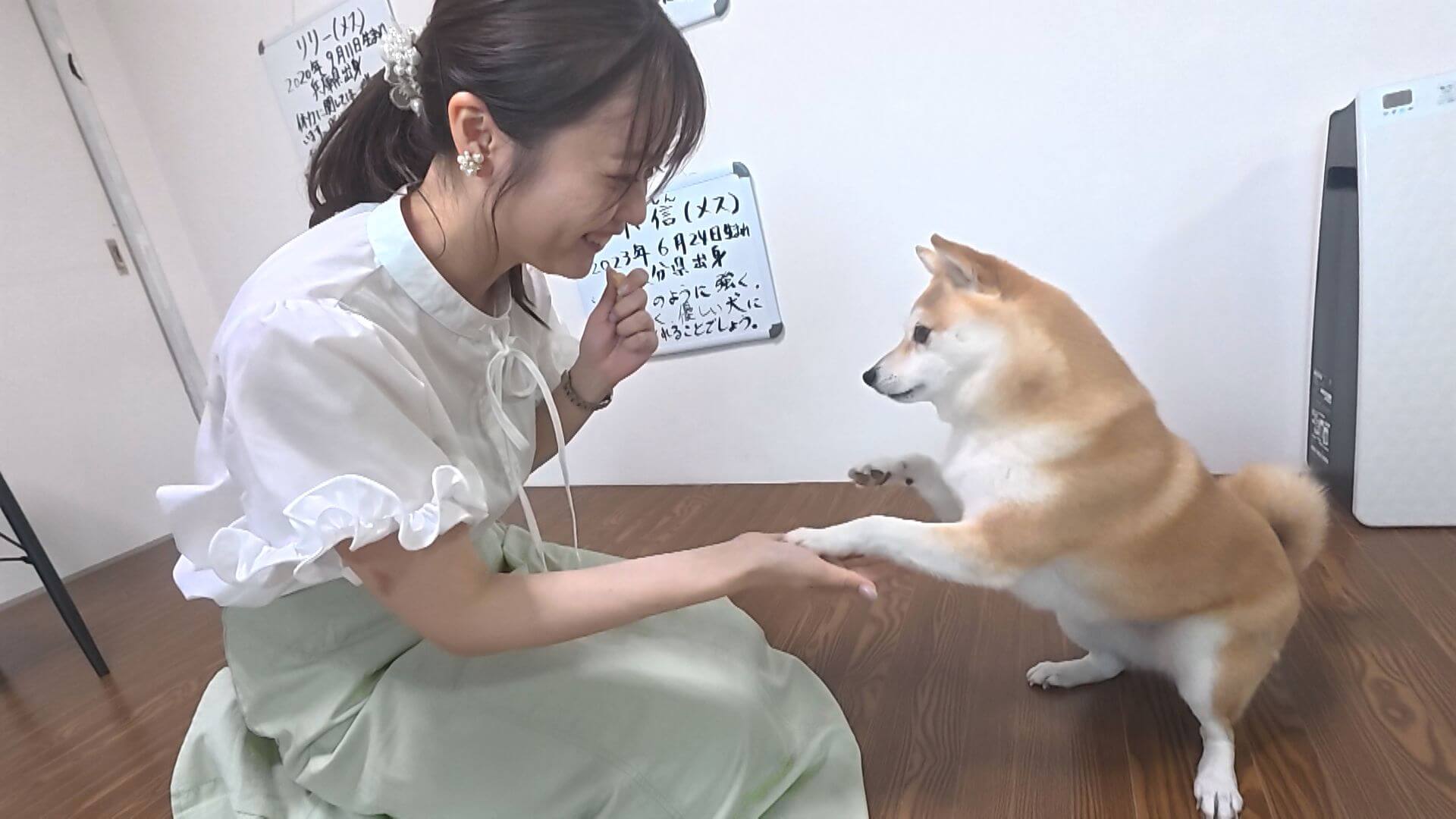 ググッと。瀬戸内