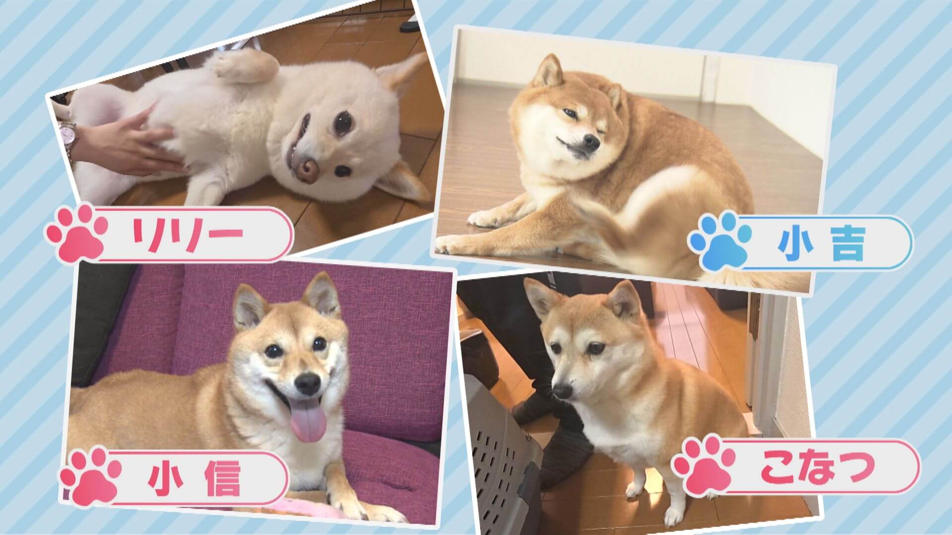 ググッと。瀬戸内