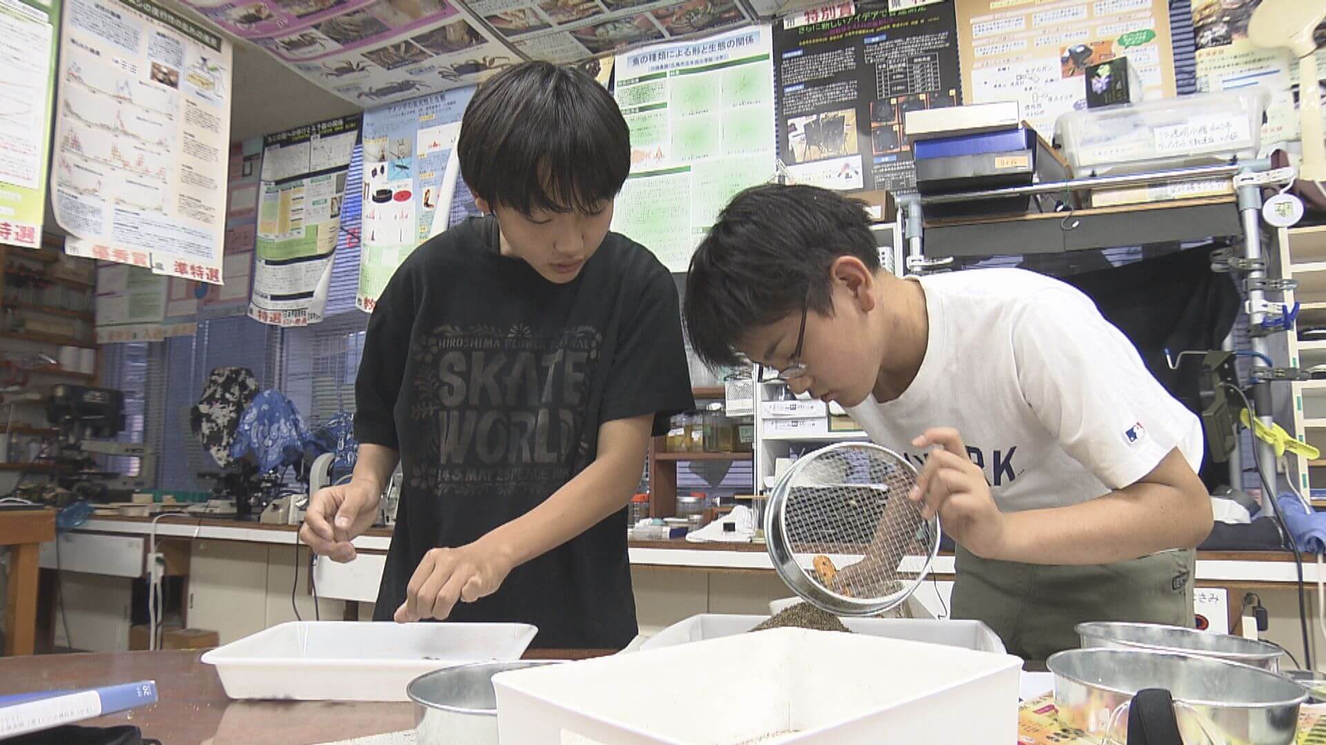 夜の海に輝く「ハマダンゴムシ」　中学生の研究に密着｜地球派宣言