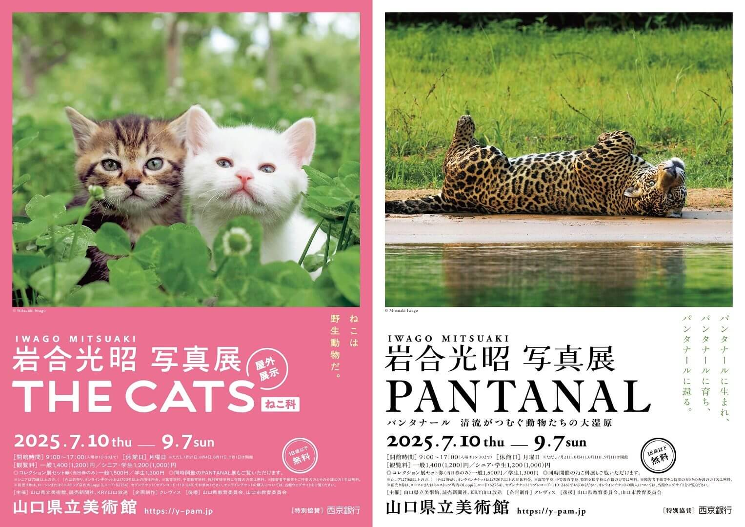 岩合光昭 写真展 PANTANAL パンタナール 清流がつむぐ動物たちの大湿原
