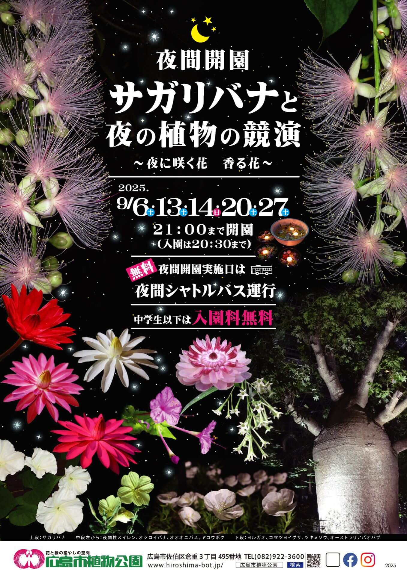 サガリバナと夜の植物の競演