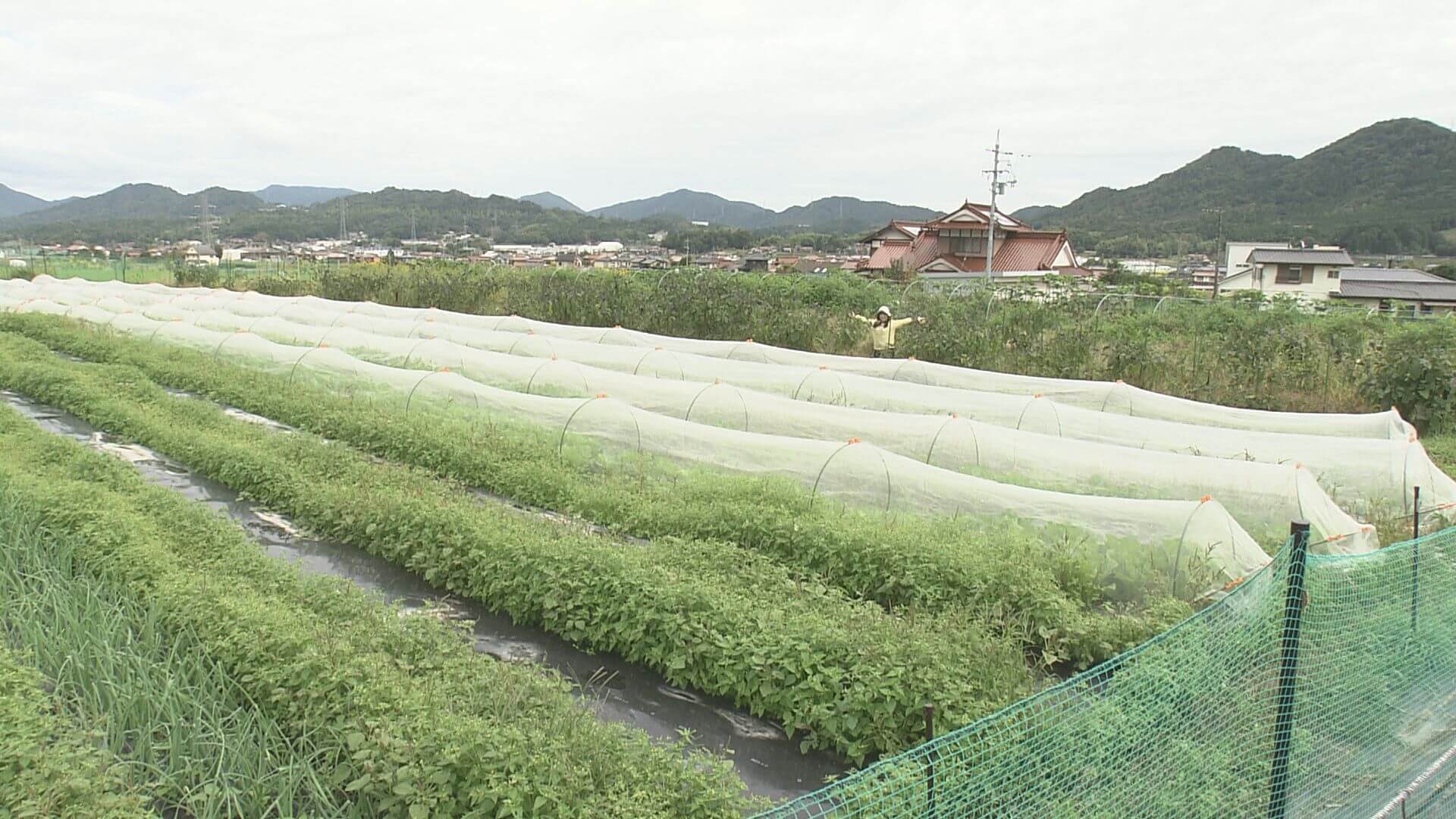 ググっと瀬戸内