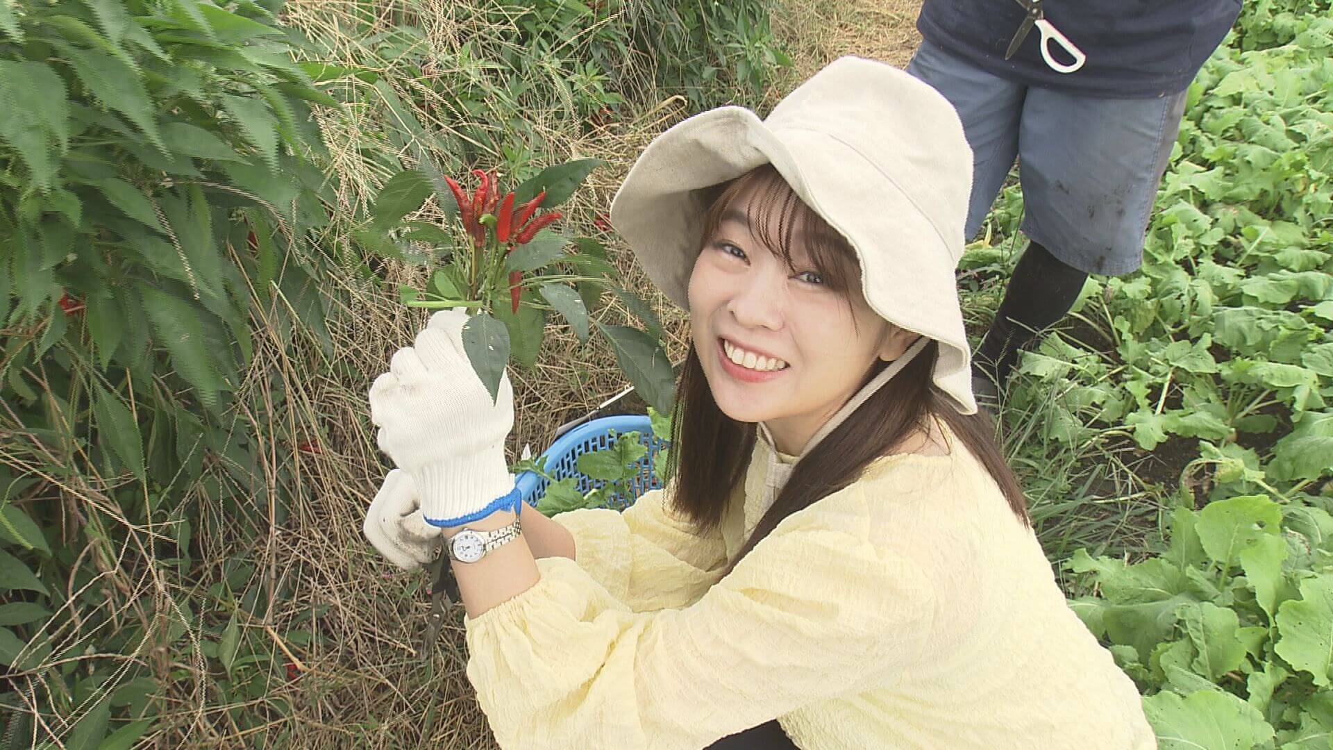 ググっと瀬戸内
