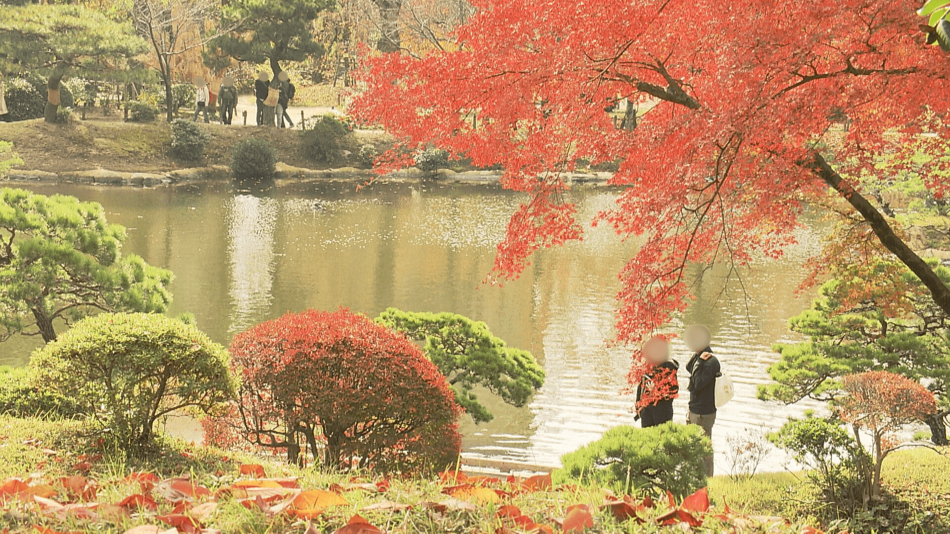 ググッと。瀬戸内