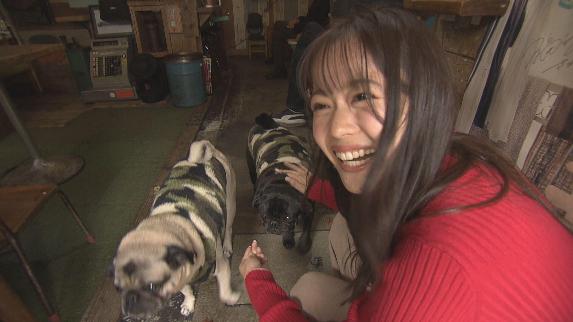 ググッと。瀬戸内