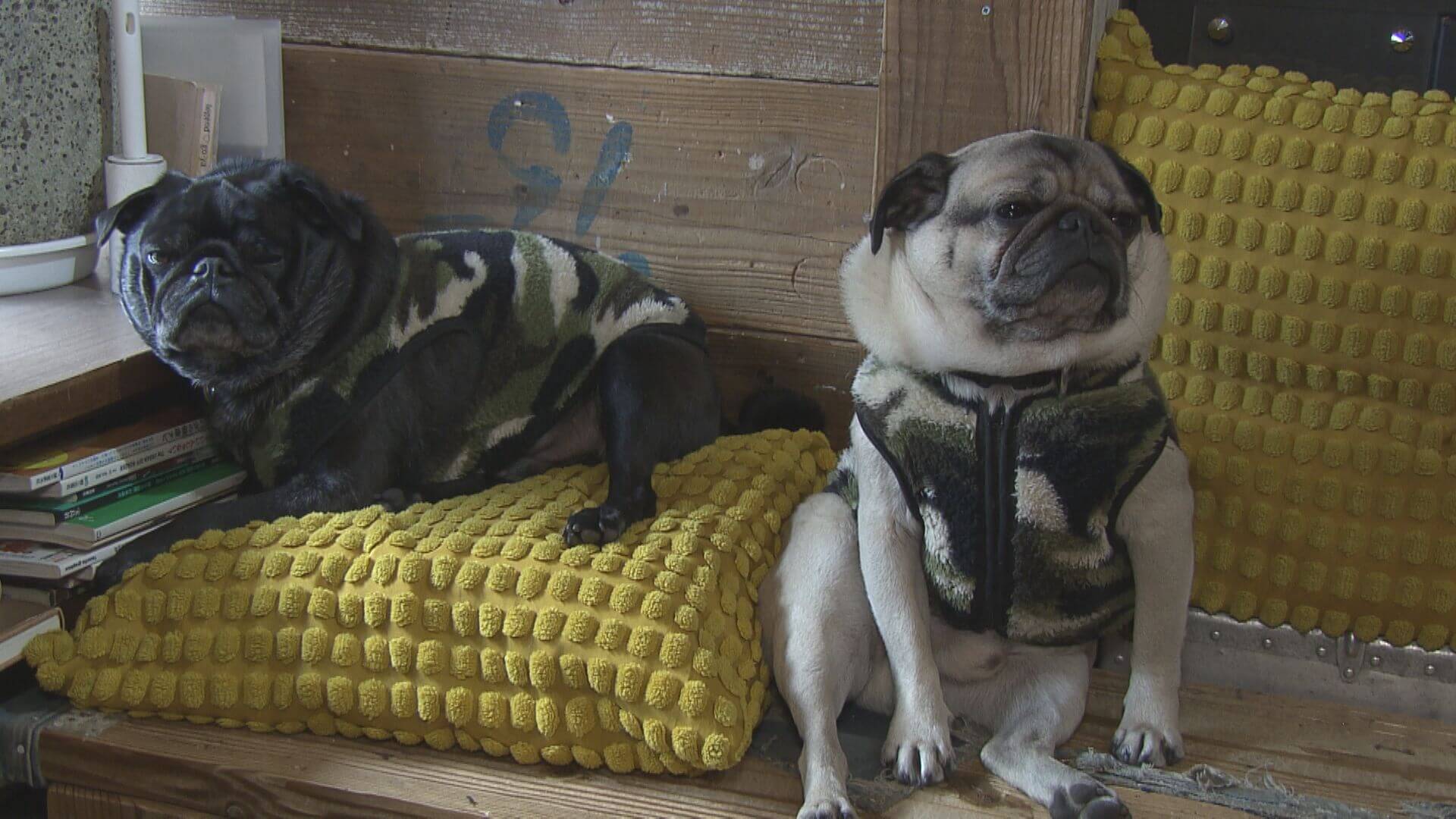 ググッと。瀬戸内