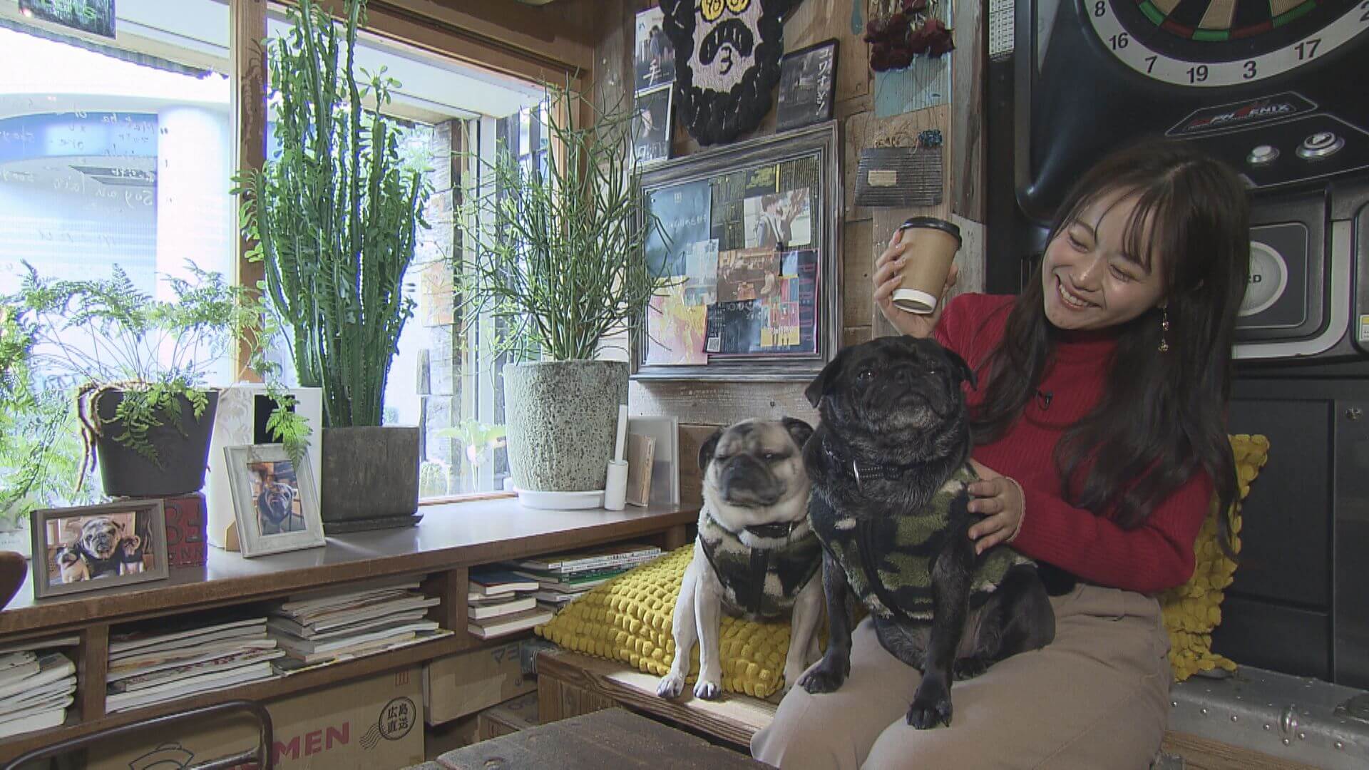 思わずほっこり。「9689Coffee」で看板犬とこだわりの自家焙煎コーヒー