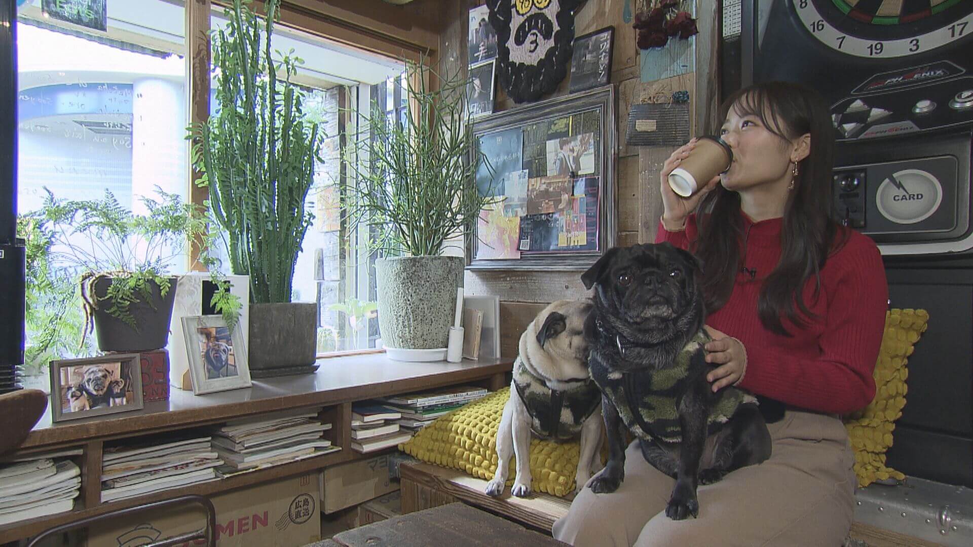 ググッと。瀬戸内