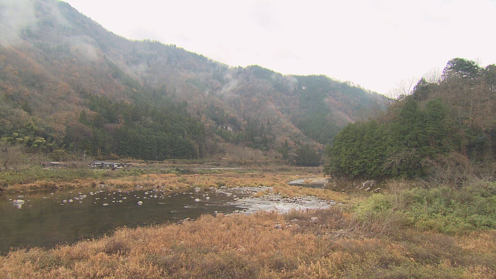 ググッと。瀬戸内