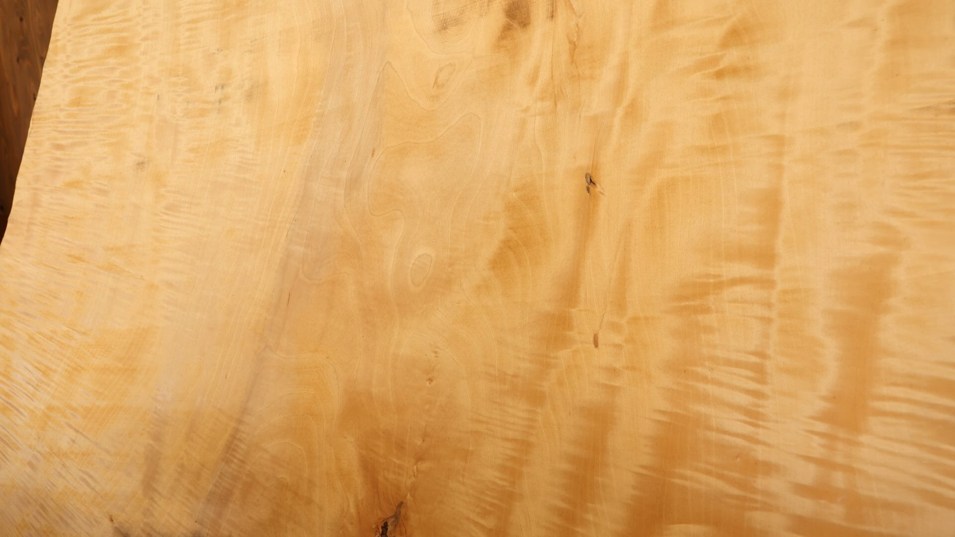 きくら　栃の木