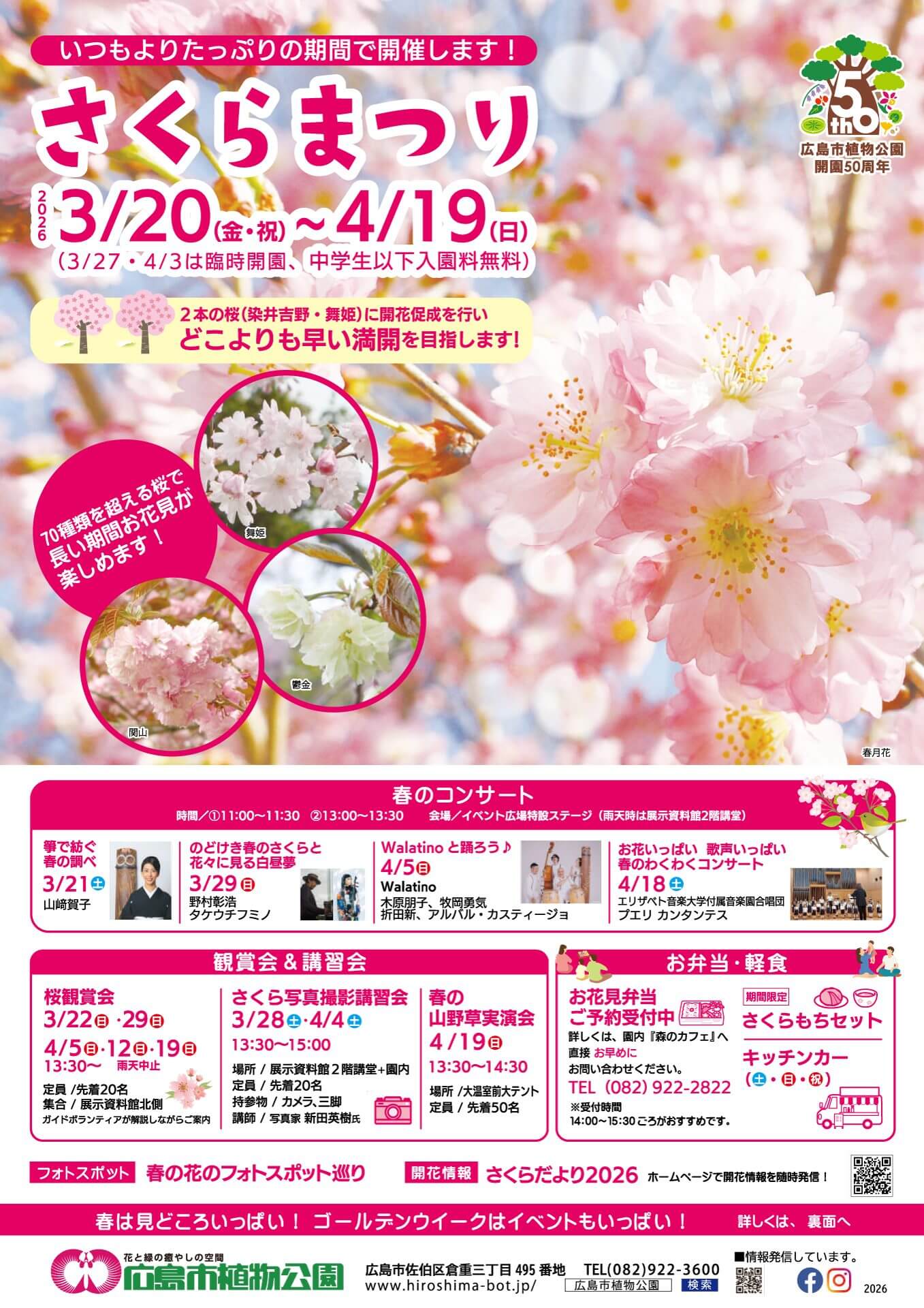 さくらまつり　チラシ
