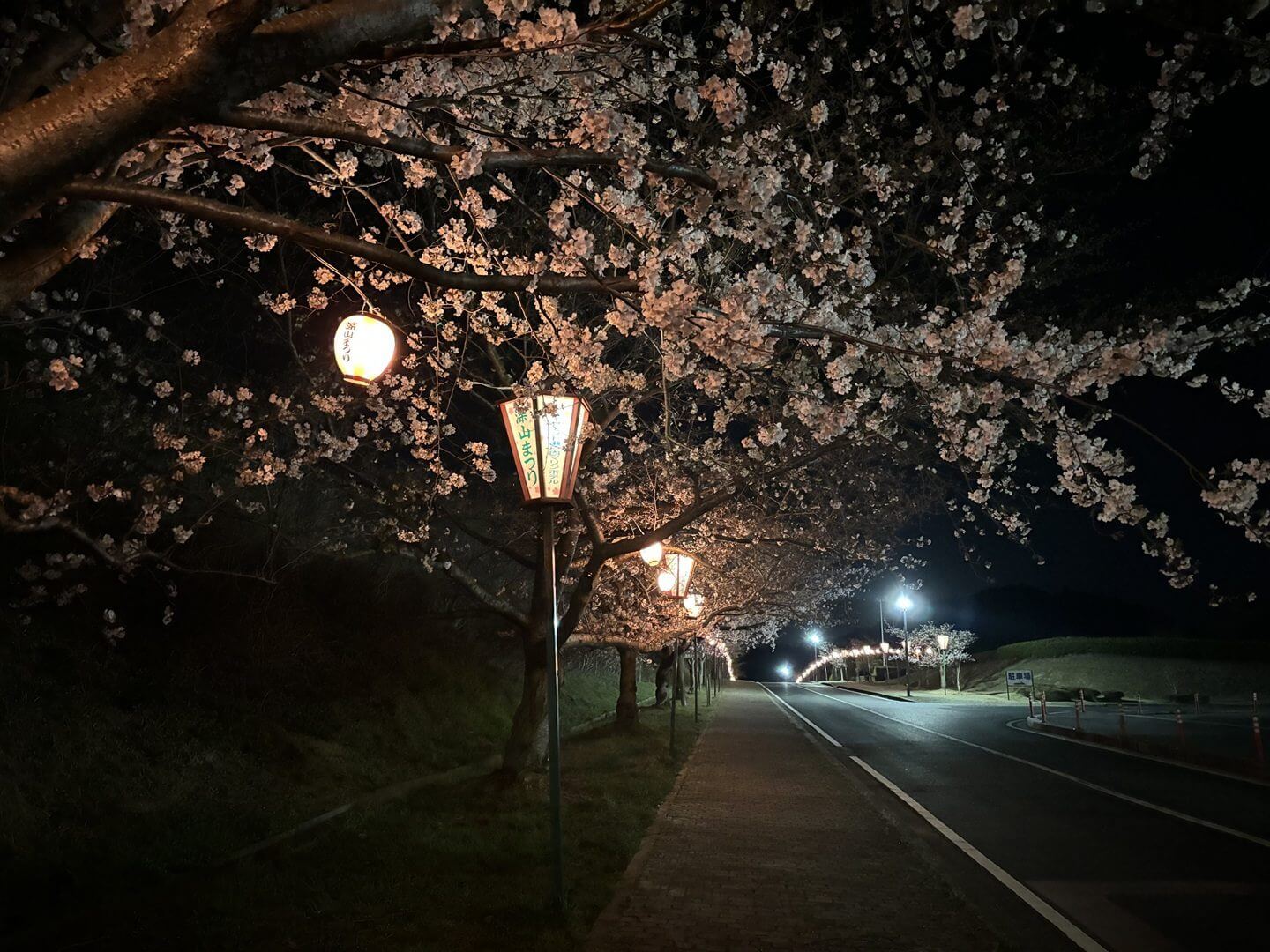 深山さくらまつり