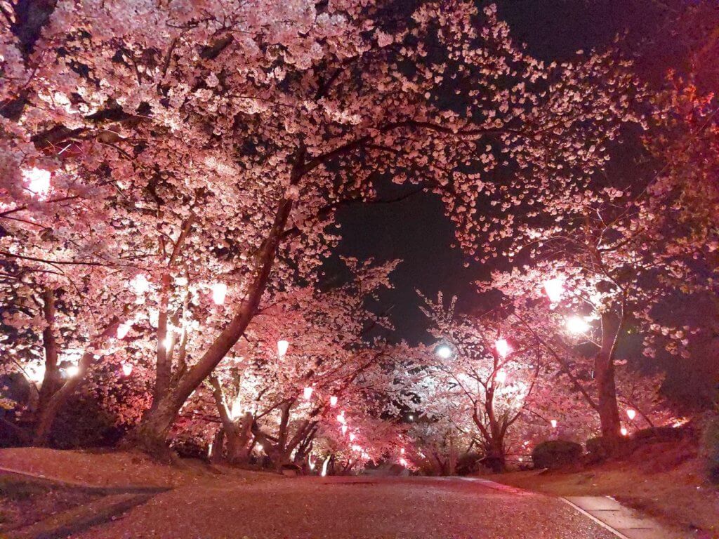 関連記事
