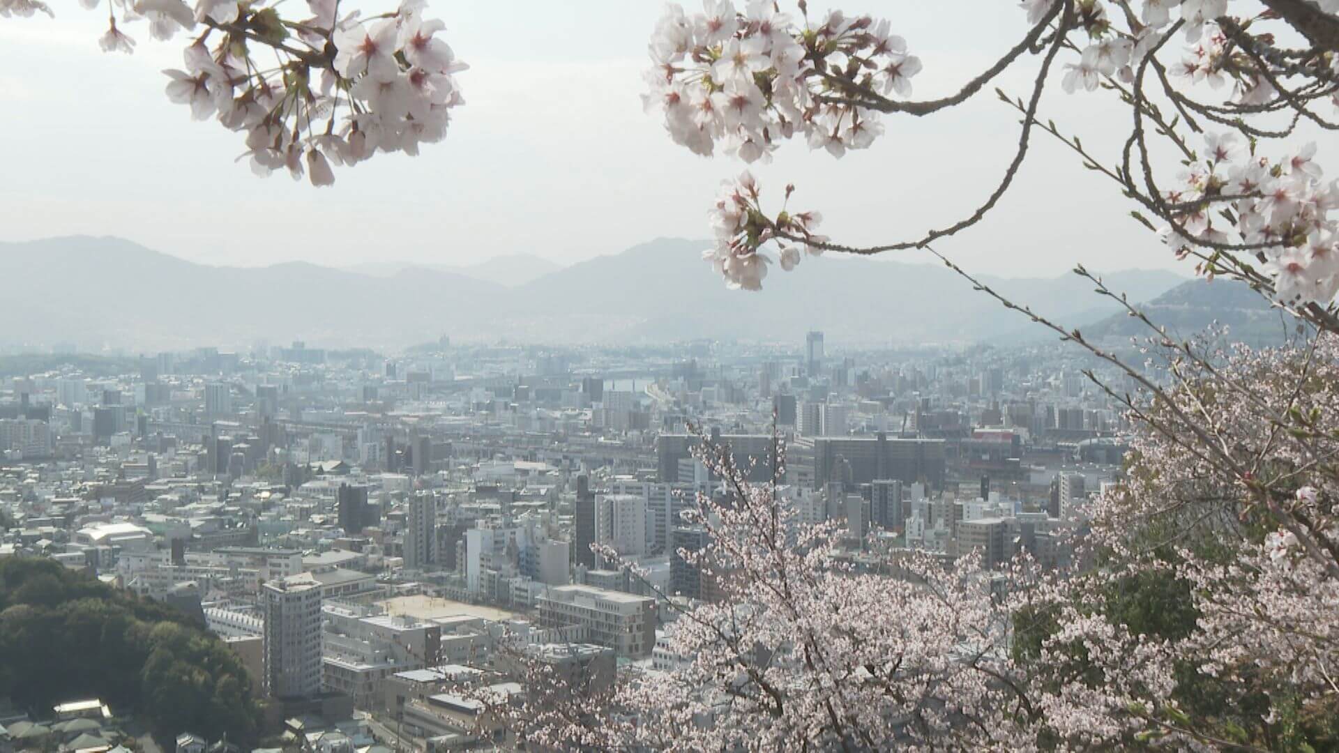 ググッと。瀬戸内