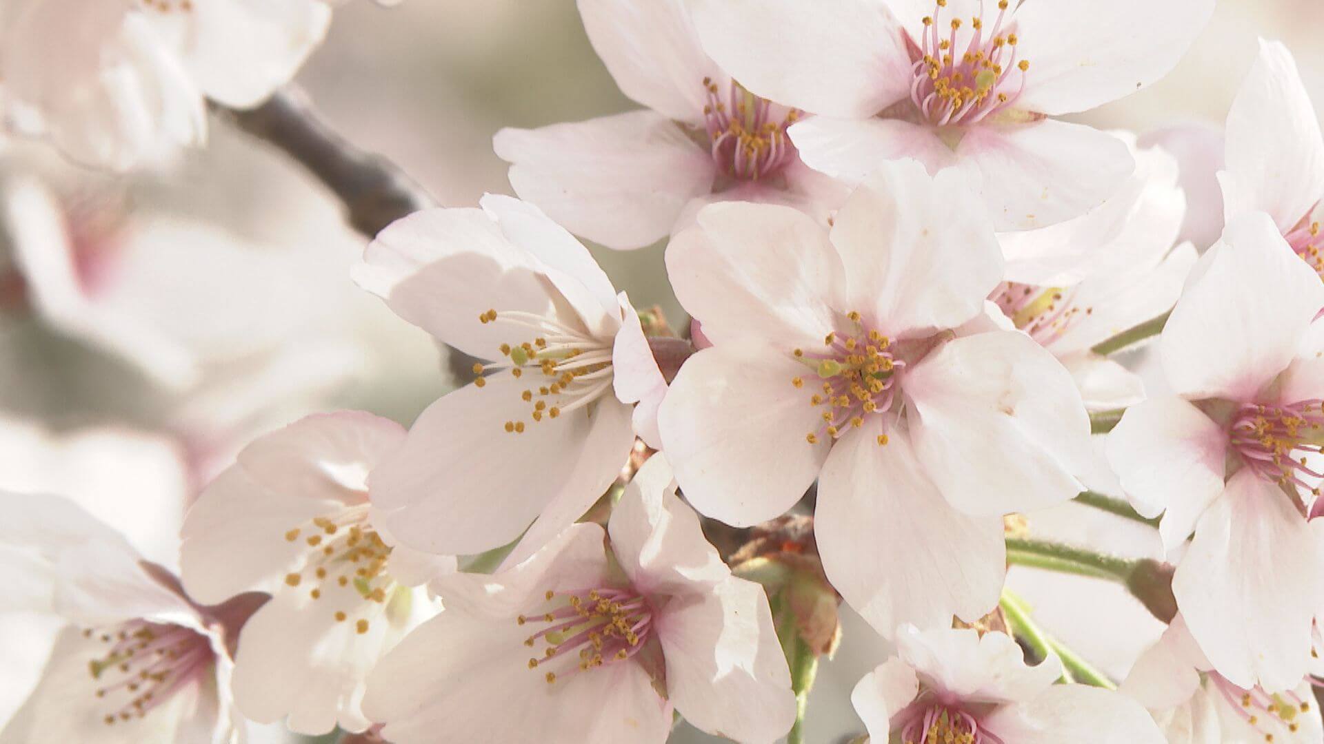 ググッと。瀬戸内