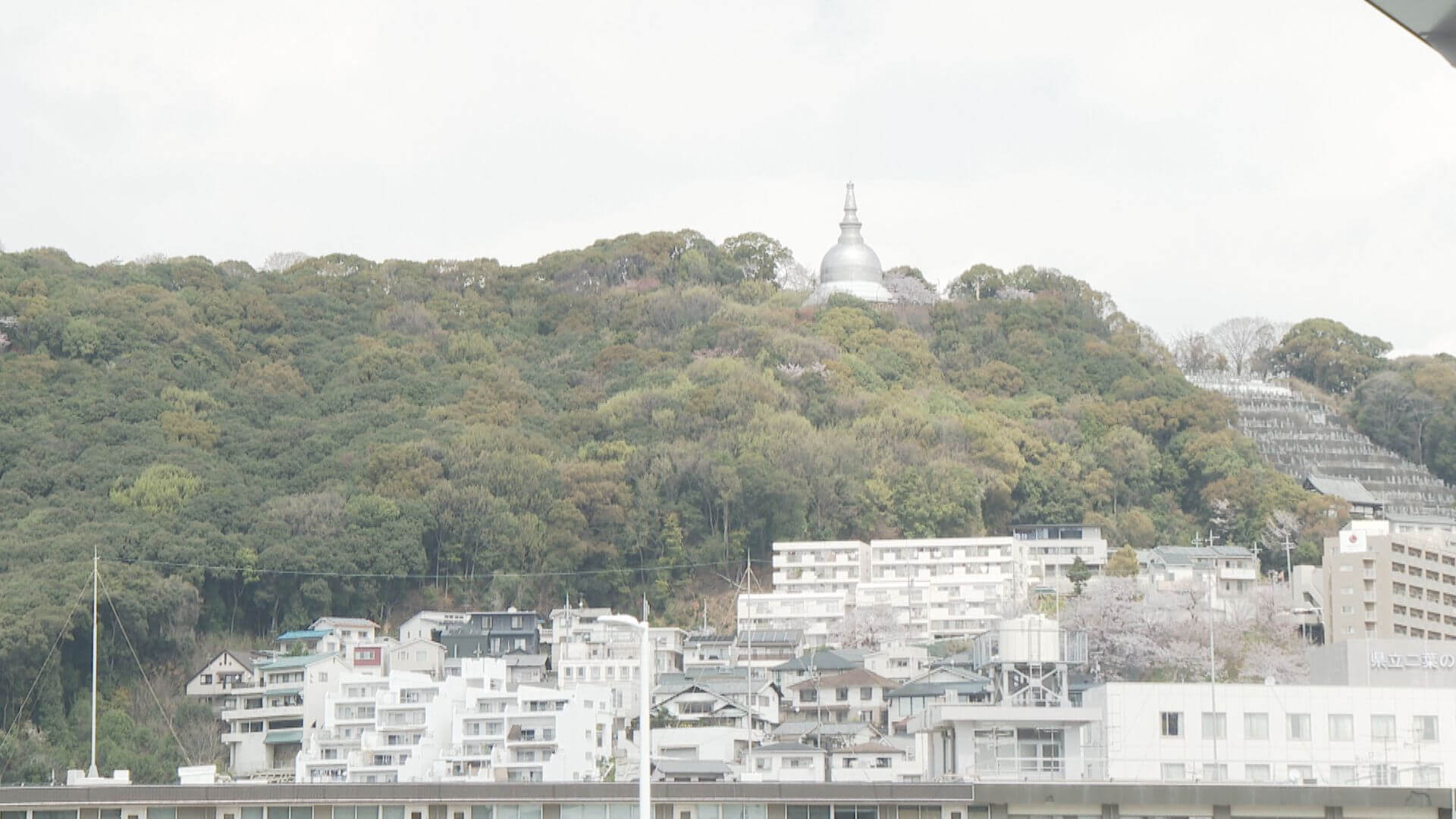 ググッと。瀬戸内