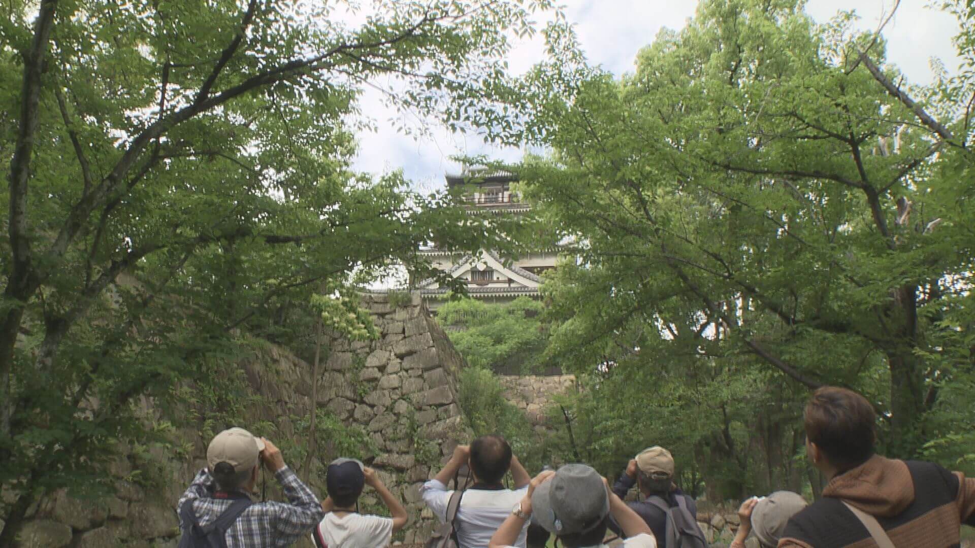 【なぜ？】広島城は“鳥たちの幼稚園” スズメの“アイドル”も発見｜地球派宣言