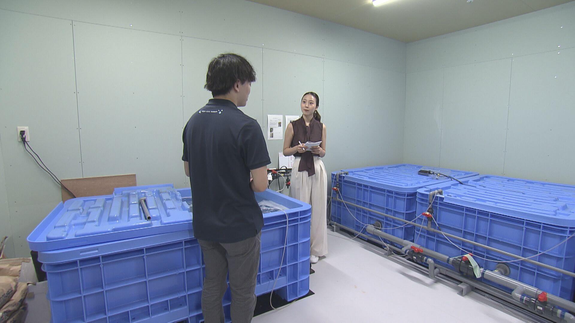 ググッと。瀬戸内