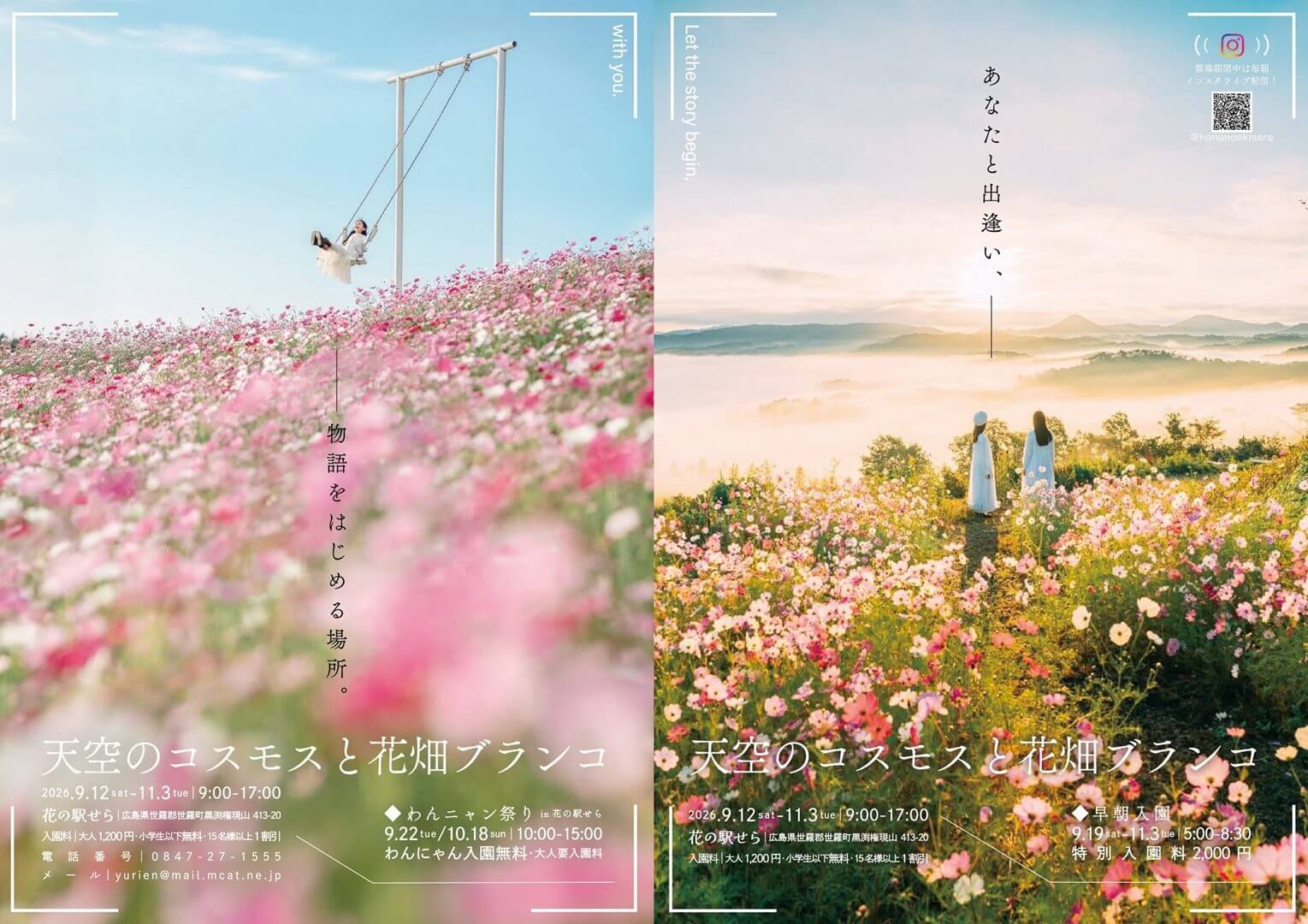 天空のコスモスと花畑ブランコ